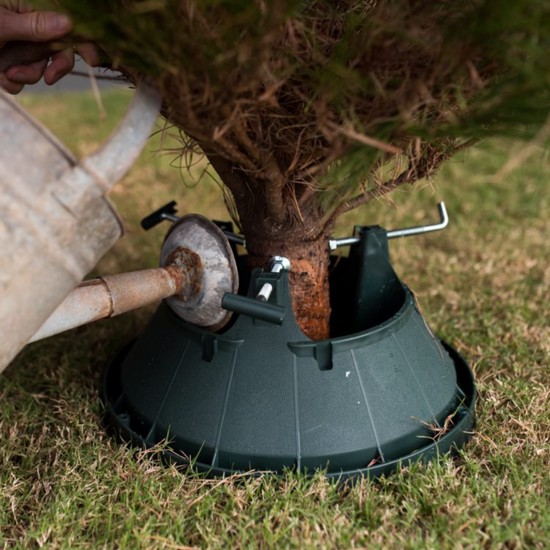 Christmas Tree Stands