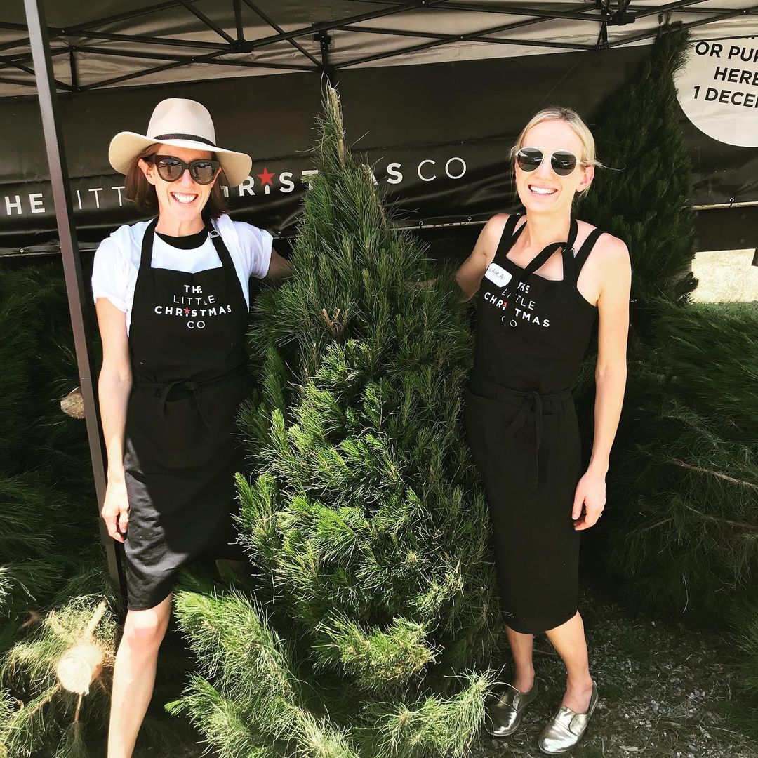 Real Christmas Trees in Brisbane The Little Christmas Co
